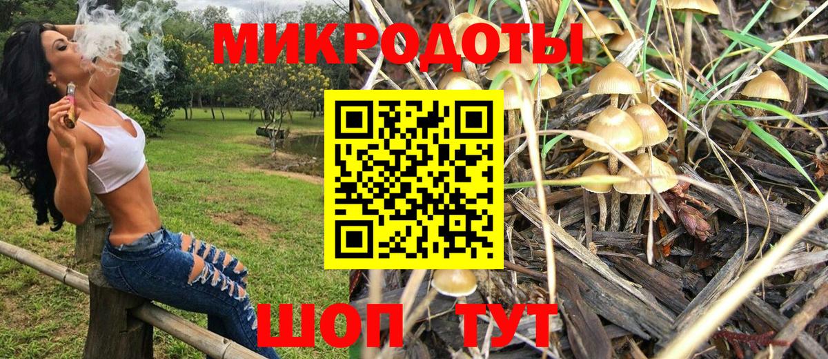 Галлюциногенные грибы Magic Shrooms Северобайкальск